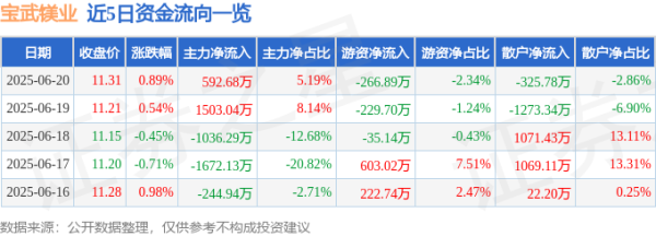 掌上策略 股票行情快报：宝武镁业（002182）6月20日主力资金净买入592.68万元