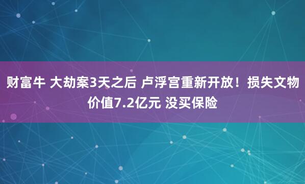 财富牛 大劫案3天之后 卢浮宫重新开放！损失文物价值7.2亿元 没买保险