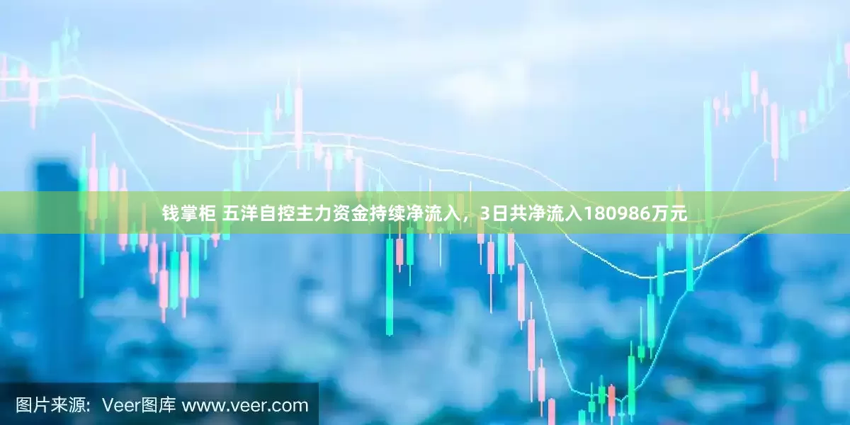 钱掌柜 五洋自控主力资金持续净流入，3日共净流入180986万元